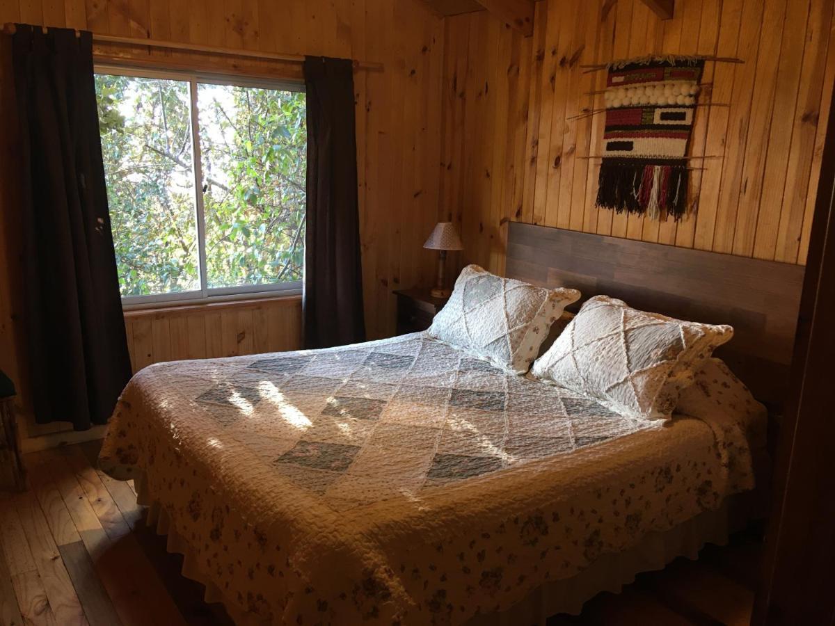 Cabanas Campomar Pelluhue 外观 照片